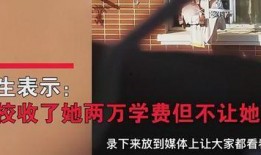 最新高校爆料事件视频完整版,揭秘惊人真相与背后隐情