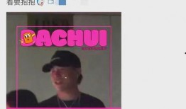 刘大锤最新视频爆料,最新视频爆料背后的惊人真相